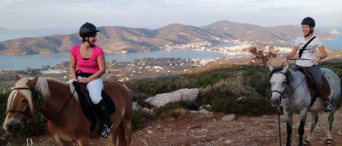 lions_apartments_poros_athens_greece_horse riding